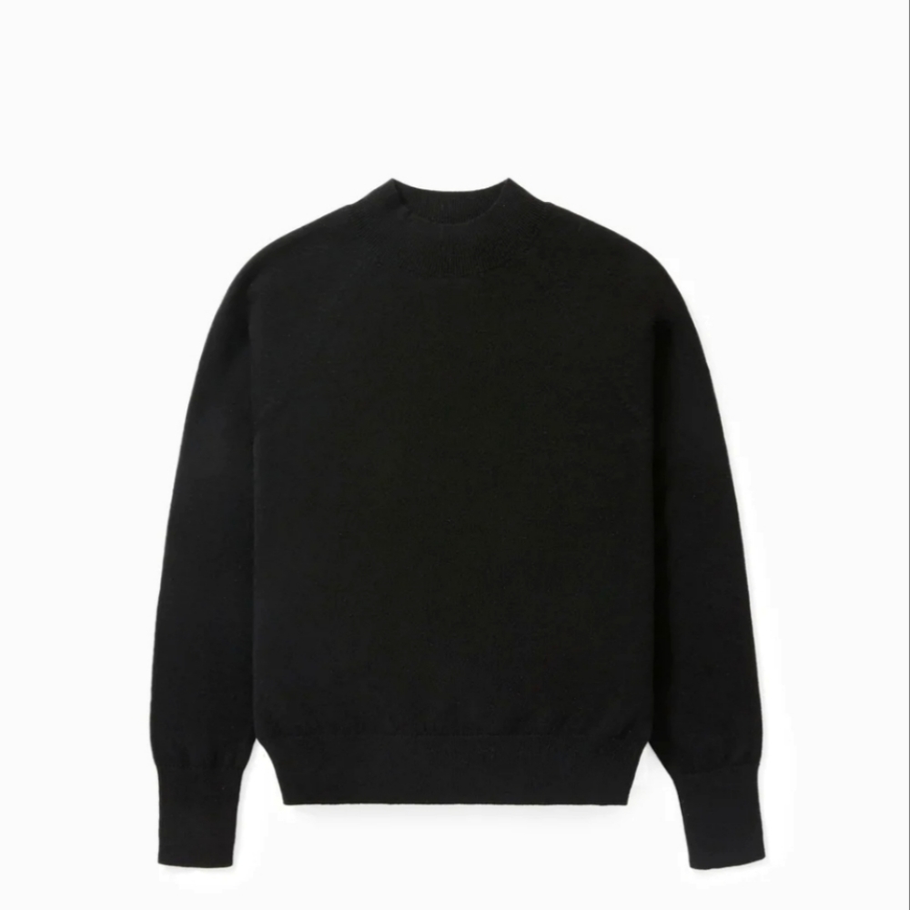 Everlane Cashmere Raglan Mockneck